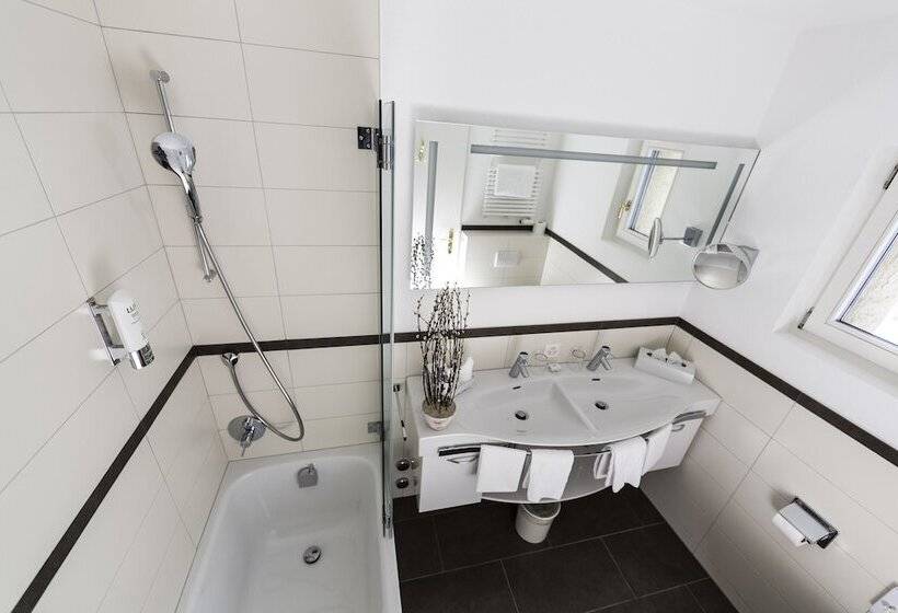 اتاق استاندارد سه نفره, Steinbock Pontresina