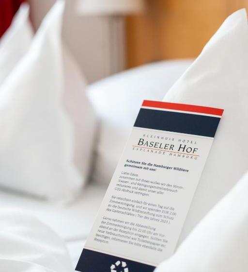 اتاق سوپریور, Baseler Hof