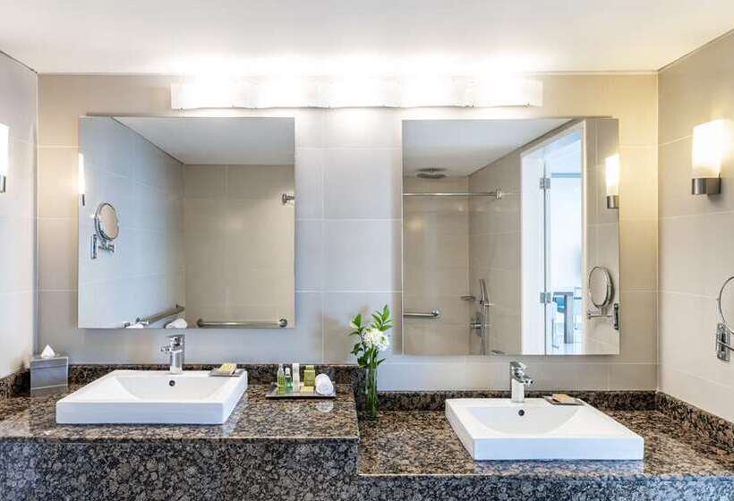 Номер Стандарт Вид на Город, Hilton Cartagena