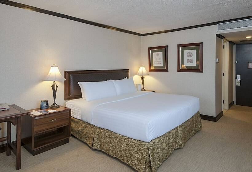 스탠다드 룸, Delta Hotels By Marriott San Jose Aurola