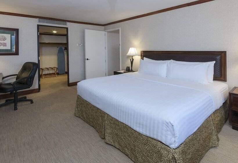 스위트, Delta Hotels By Marriott San Jose Aurola