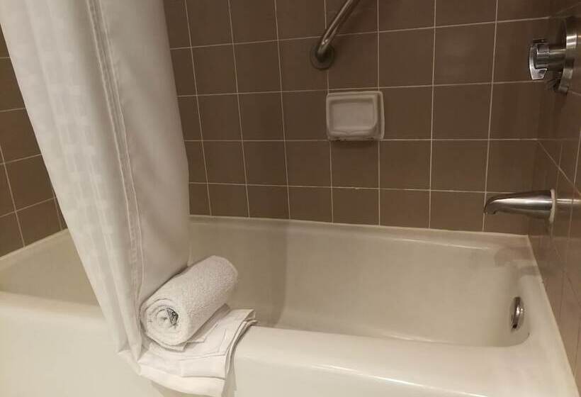 스탠다드 룸 더블 침대 2개, Delta Hotels By Marriott San Jose Aurola