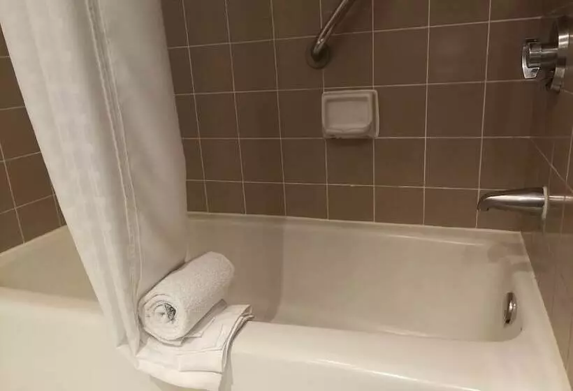 ２ダブルベッドのスタンダードルーム, Delta Hotels By Marriott San Jose Aurola