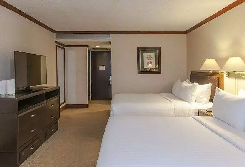 ２ダブルベッドのスタンダードルーム, Delta Hotels By Marriott San Jose Aurola