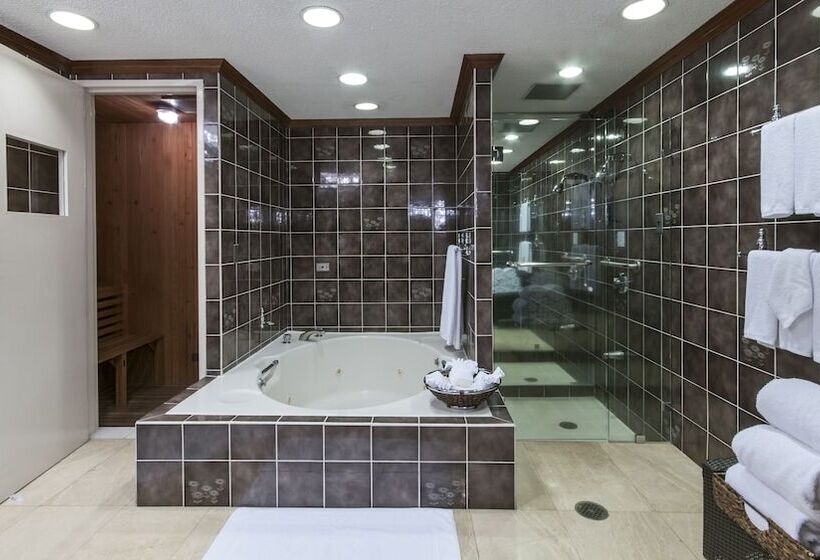 스위트, Delta Hotels By Marriott San Jose Aurola