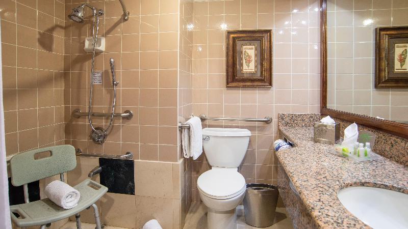 장애인을 위한 킹사이즈 침대 스탠다드 룸, Delta Hotels By Marriott San Jose Aurola