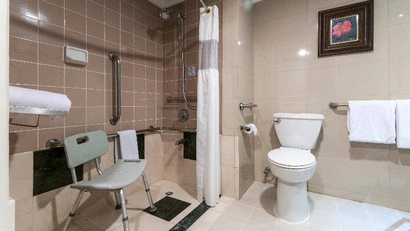 غرفة قياسية سرير كينج لذوى الإحتياجات الخاصة, Delta Hotels By Marriott San Jose Aurola