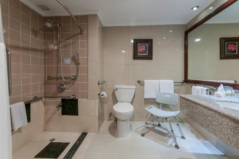 장애인을 위한 킹사이즈 침대 스탠다드 룸, Delta Hotels By Marriott San Jose Aurola