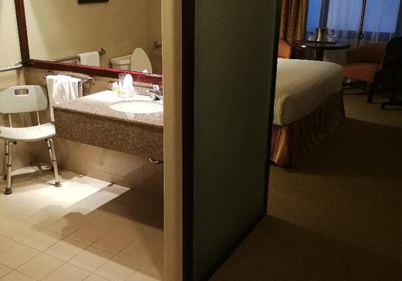 장애인을 위한 킹사이즈 침대 스탠다드 룸, Delta Hotels By Marriott San Jose Aurola