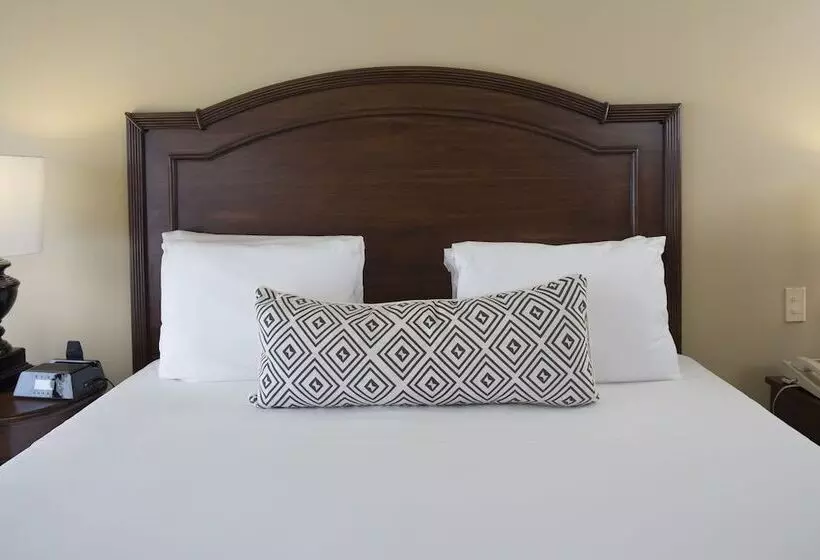 Classic-huone, Intercontinental Medellin   Movich By Ihg