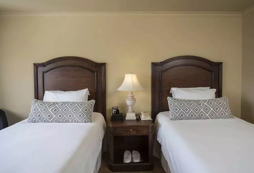 Classic-huone, Intercontinental Medellin   Movich By Ihg