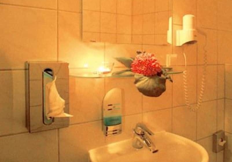 标准单人间, Mercedes/centrum