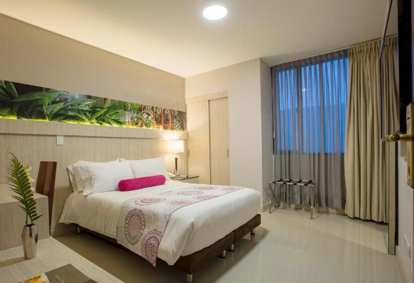 舒适型单人间, Soratama