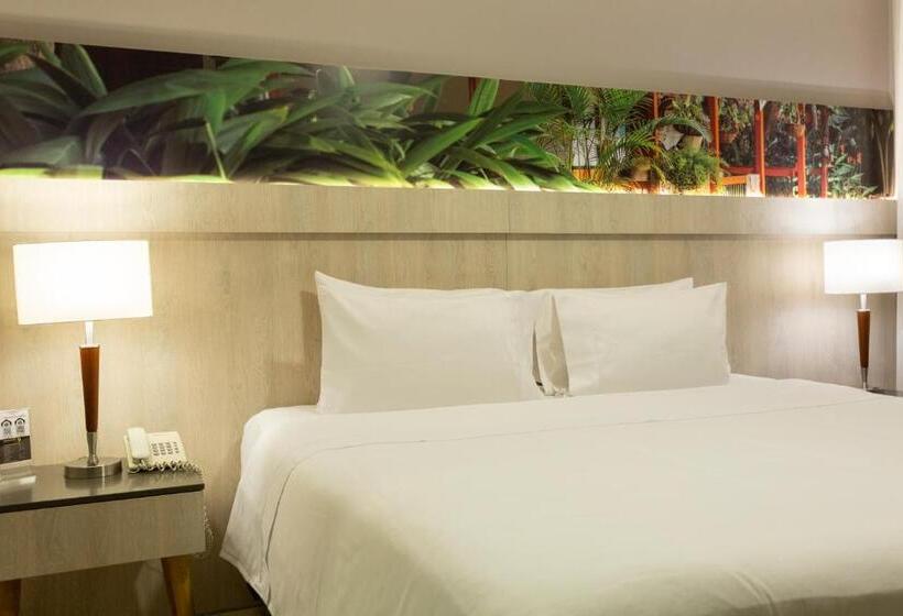 舒适型单人间, Soratama