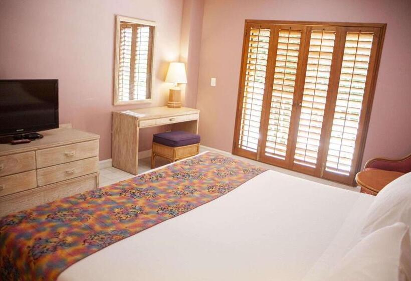 キングサイズベッドのスタンダードルーム, Tocarema