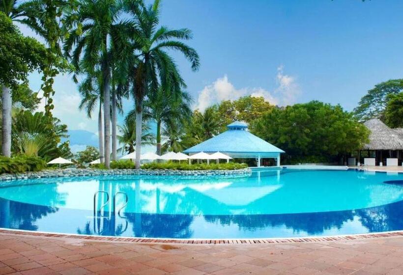 ファミリールーム, Tocarema