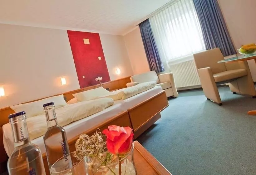 اتاق استاندارد, Kocks Hotel Garni
