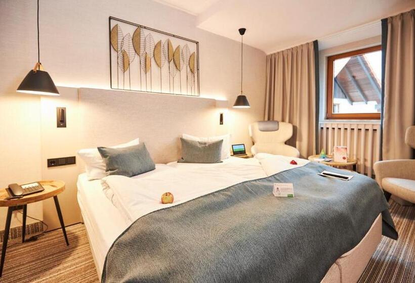 Номер Стандарт, Flair Hotel Werbetal