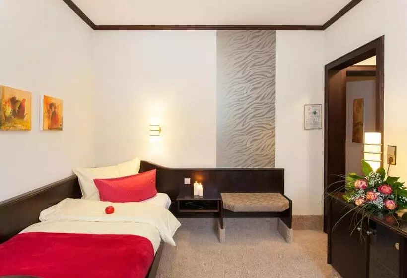コンフォートシングルルーム, Flair Hotel Werbetal