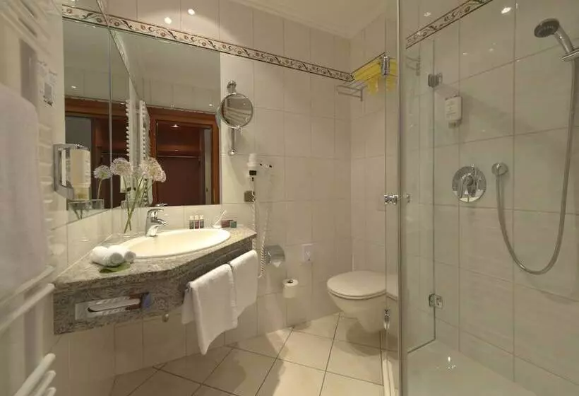 Classic Single Room, Celler Tor