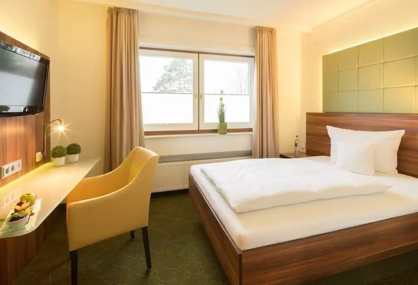 Comfort Single Room, Celler Tor