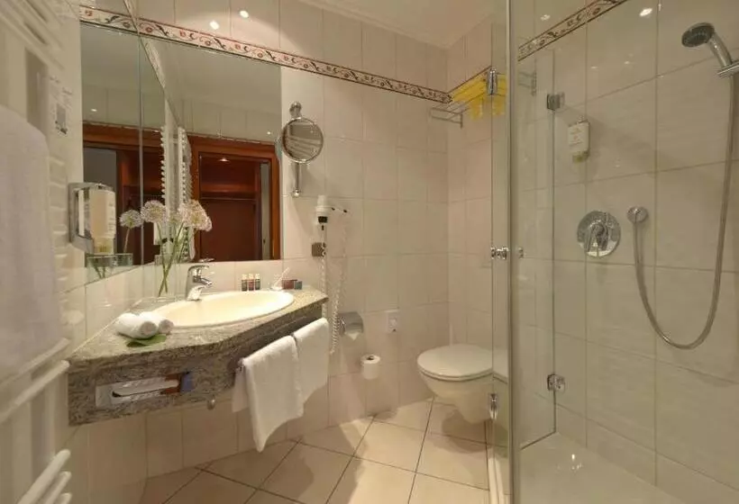 Classic Single Room, Celler Tor