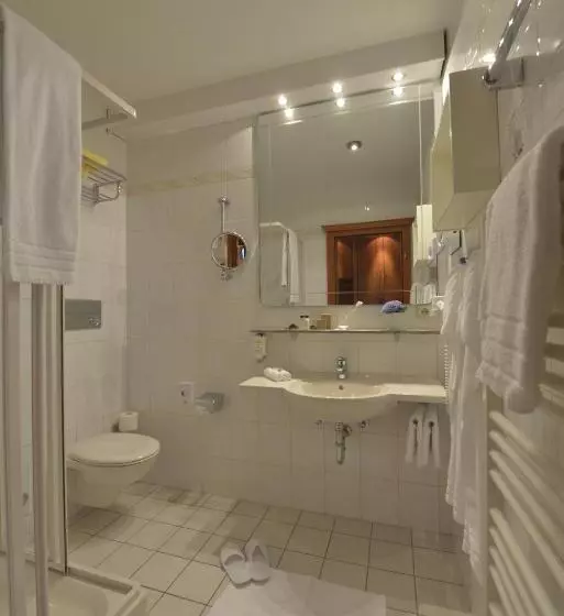 Comfort Single Room, Celler Tor