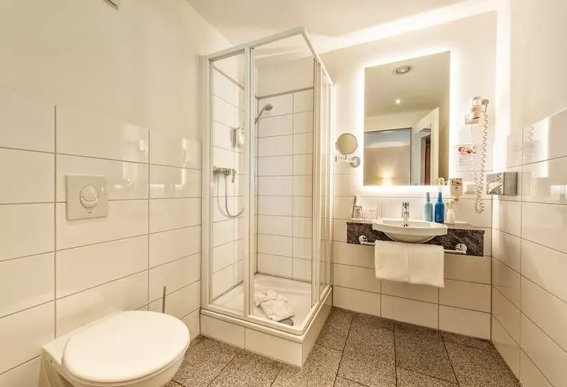 اتاق سوپریور با چشم‌انداز, Cityclass Hotel Am Dom