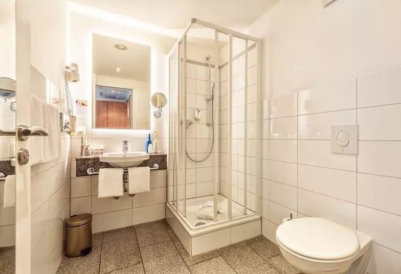 اتاق سوپریور با چشم‌انداز, Cityclass Hotel Am Dom
