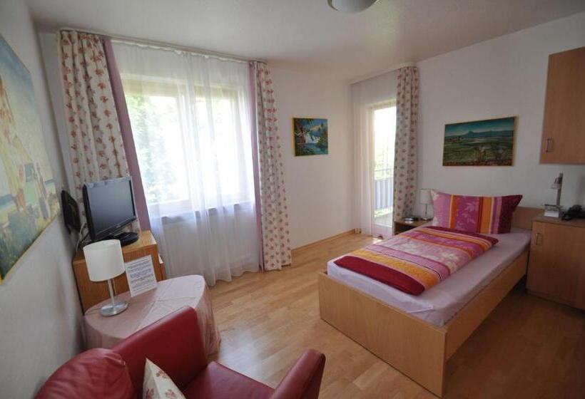 غرفة إقتصادية فردية, Apart Hotel Stadtgarten