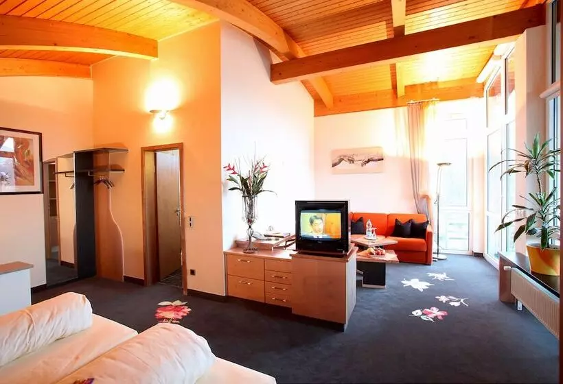 デラックススタジオ, Am Hirschhorn Wellness Spa And More