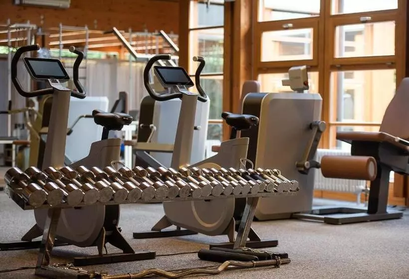 デラックスルーム, Dorint Thermenhotel Freiburg