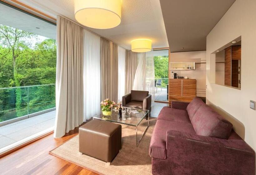 Полулюкс Одноместный с Террасой, Dorint Thermenhotel Freiburg