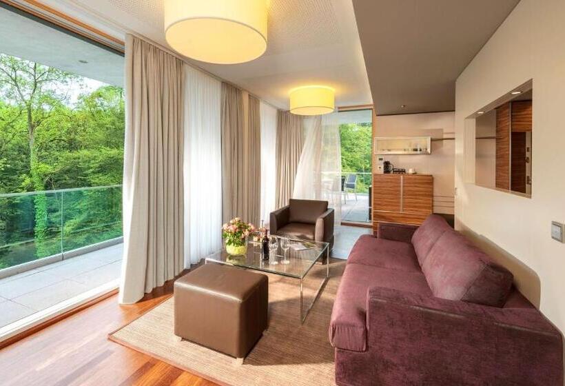 סוויטת ג'וניור עם טרסה, Dorint Thermenhotel Freiburg