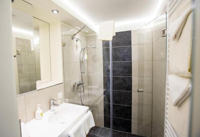 غرفة سوبيريور, Pfalzhotel Asselheim