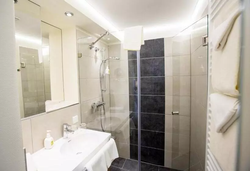 スーペリアールーム, Pfalzhotel Asselheim