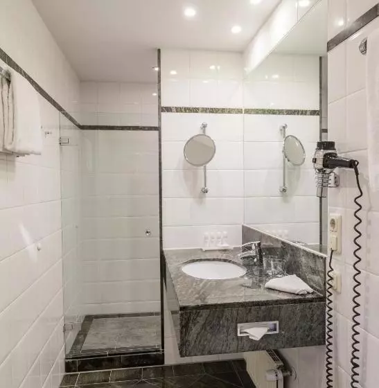 اتاق سوپریور, Radisson Blu Hotel Schwarzer Bock Wiesbaden