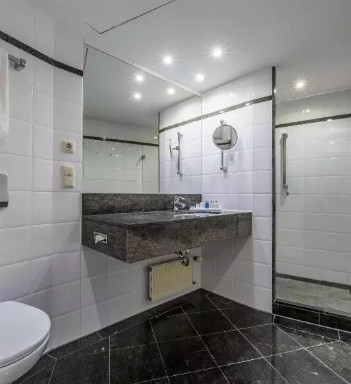 اتاق سوپریور, Radisson Blu Hotel Schwarzer Bock Wiesbaden