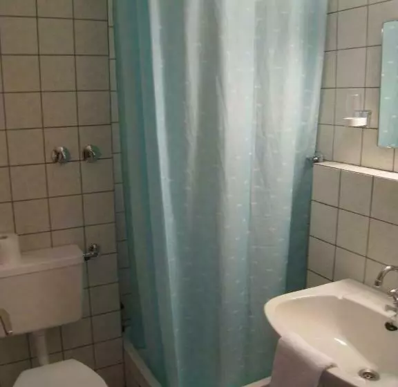 Standard Single Room, Restaurant Sonnenhof