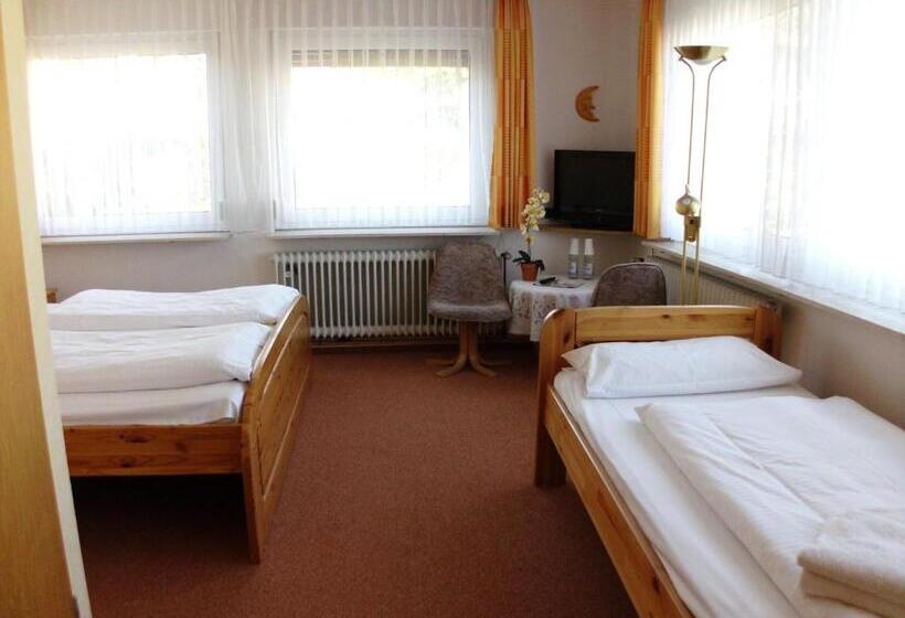 Номер Стандарт Трехместный, Restaurant Zum Schwalbennest