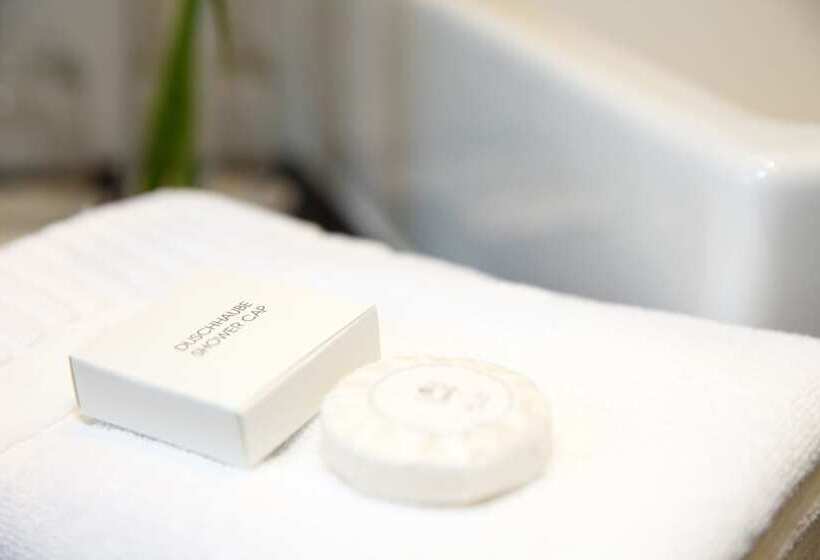 اتاق سوپریور یک تخته, Schlosshotel Karlsruhe