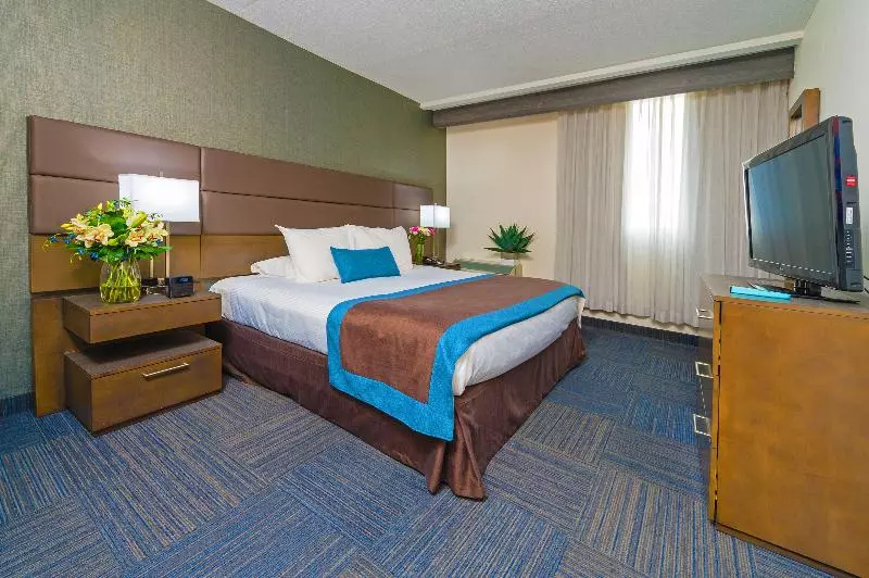 اتاق استاندارد با تخت بزرگ, Sheraton Frankfurt Airport Hotel & Conference Center