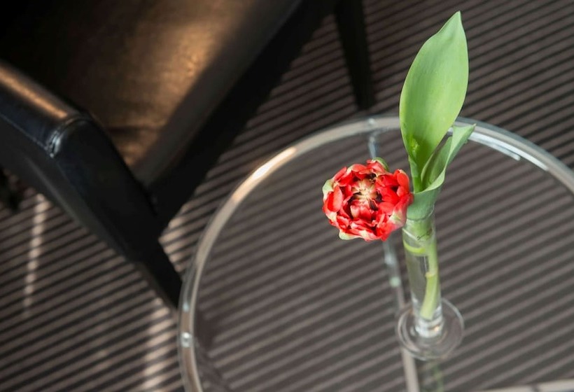 חדר סופריור, Tryp By Wyndham Wuppertal
