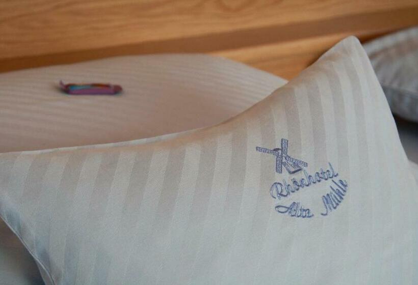 Номер Стандарт Индивидуальный, Rhönhotel Alte Mühle