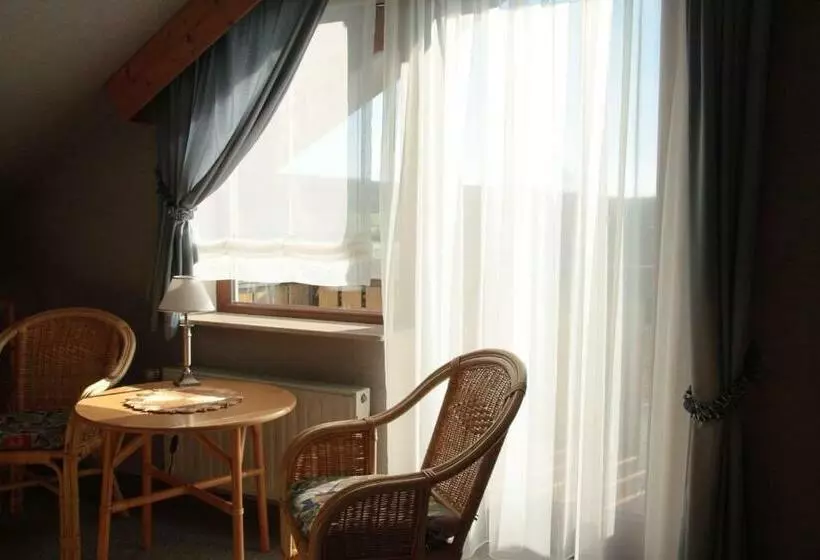 اتاق استاندارد یک نفره, Rhönhotel Alte Mühle