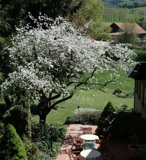 آپارتمان خانوادگی, Rhönhotel Alte Mühle