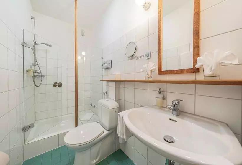 Standard-huone, Biohotel Alte Post