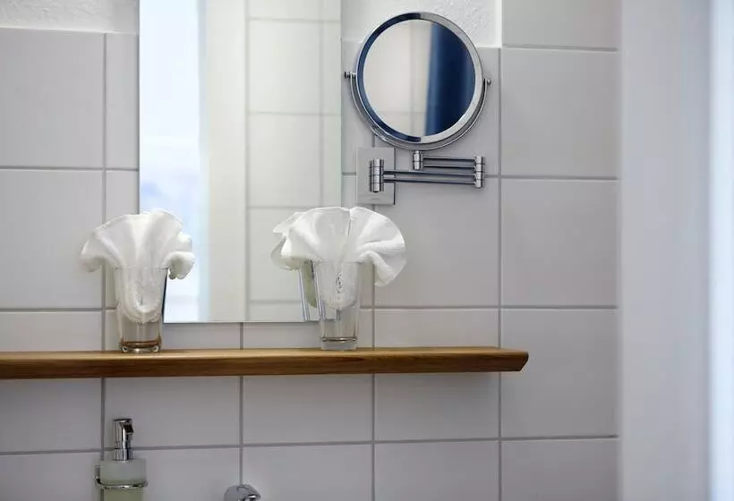 Standard-huone, Biohotel Alte Post