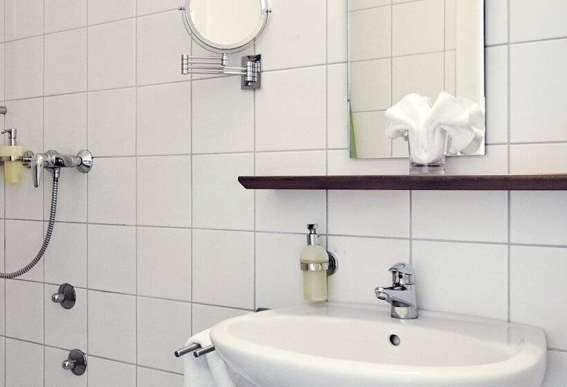 غرفة قياسية فردية, Biohotel Alte Post