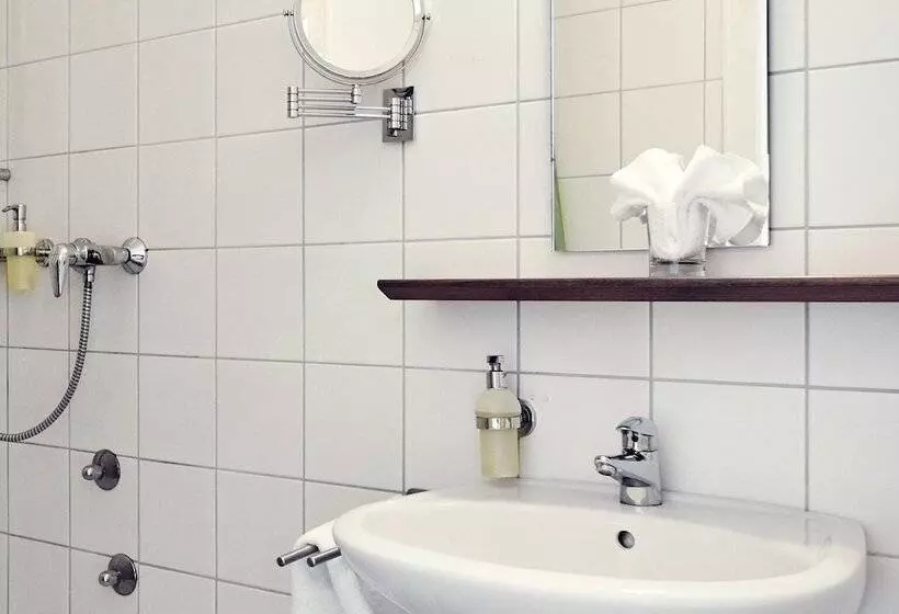 Standard Yhden Hengen Huone, Biohotel Alte Post